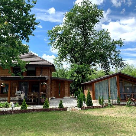 Debowy Zakatek Villa Kazimierz Dolny Eksteriør billede